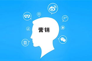 零预算玩转互联网销售 实用策略与技巧