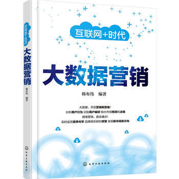 大数据营销 数字时代的精准销售与战略布局